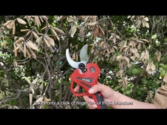 Coupeur de branche sans fil électrique d'arbre de Secateur Pruner 1.2kg de cisailles