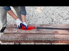 L'élagage sans fil de batterie de Polonais de 8 pouces de portée élevée longue de tronçonneuse a vu