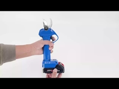 Auston AES20-3 tailleuse