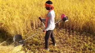Débroussailleuse à essence et outil de jardinage tout-en-un